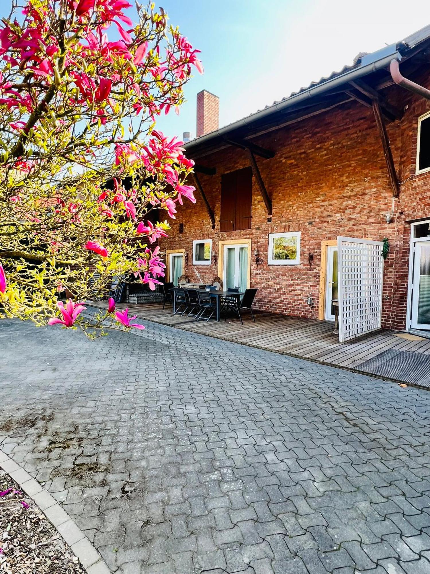 Ferienwohnungen Maedchen Wunstorf Exteriör bild